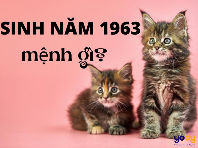 Giải đáp thắc mắc về nữ sinh 1963 mệnh Kim Bạch Kim và phong thủy